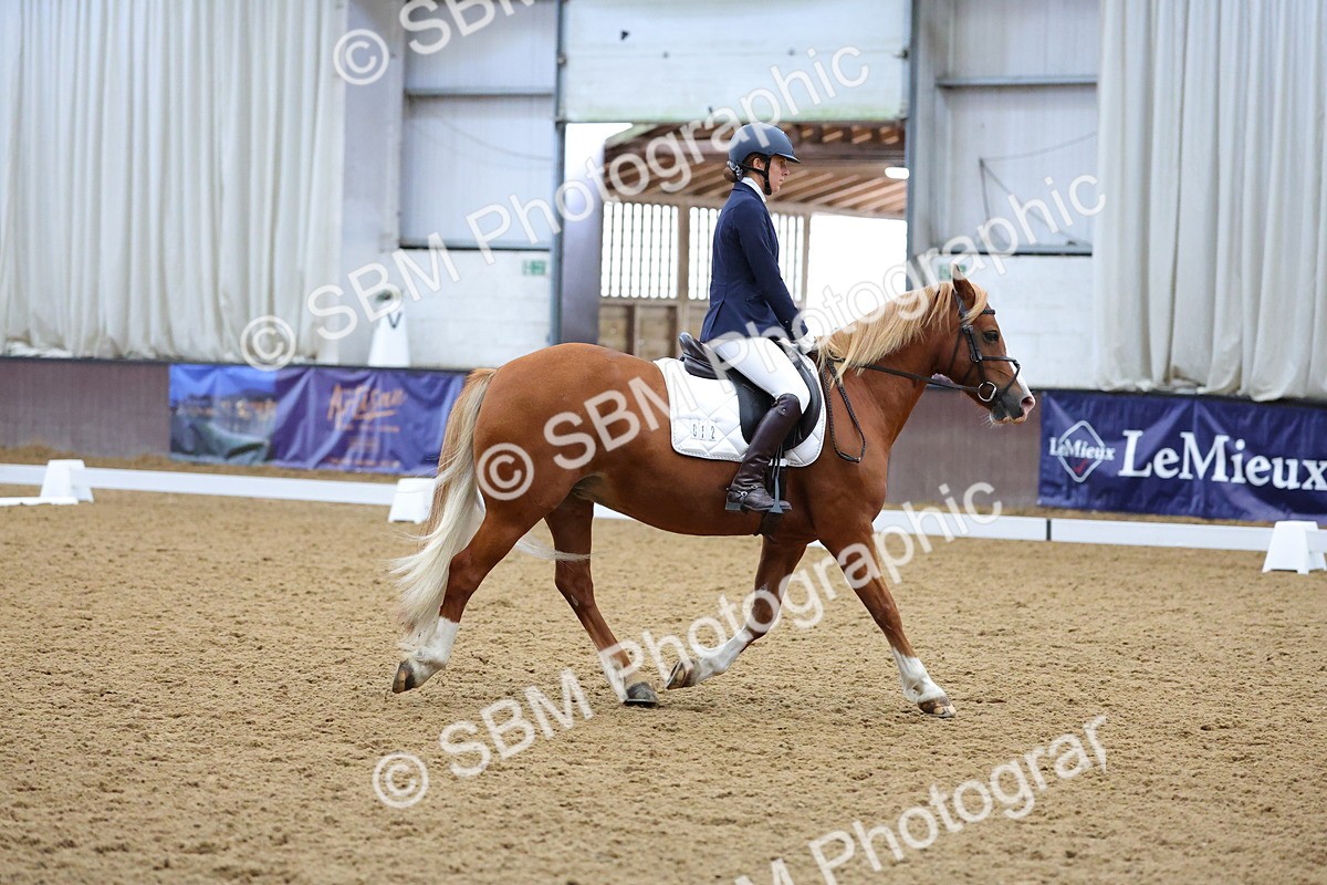SBM_000994 - Class 3 - Prelim 2