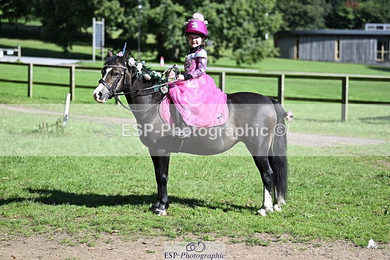 240728B-094433-00101 - Sunday Stable Shots and Fancy Dress
