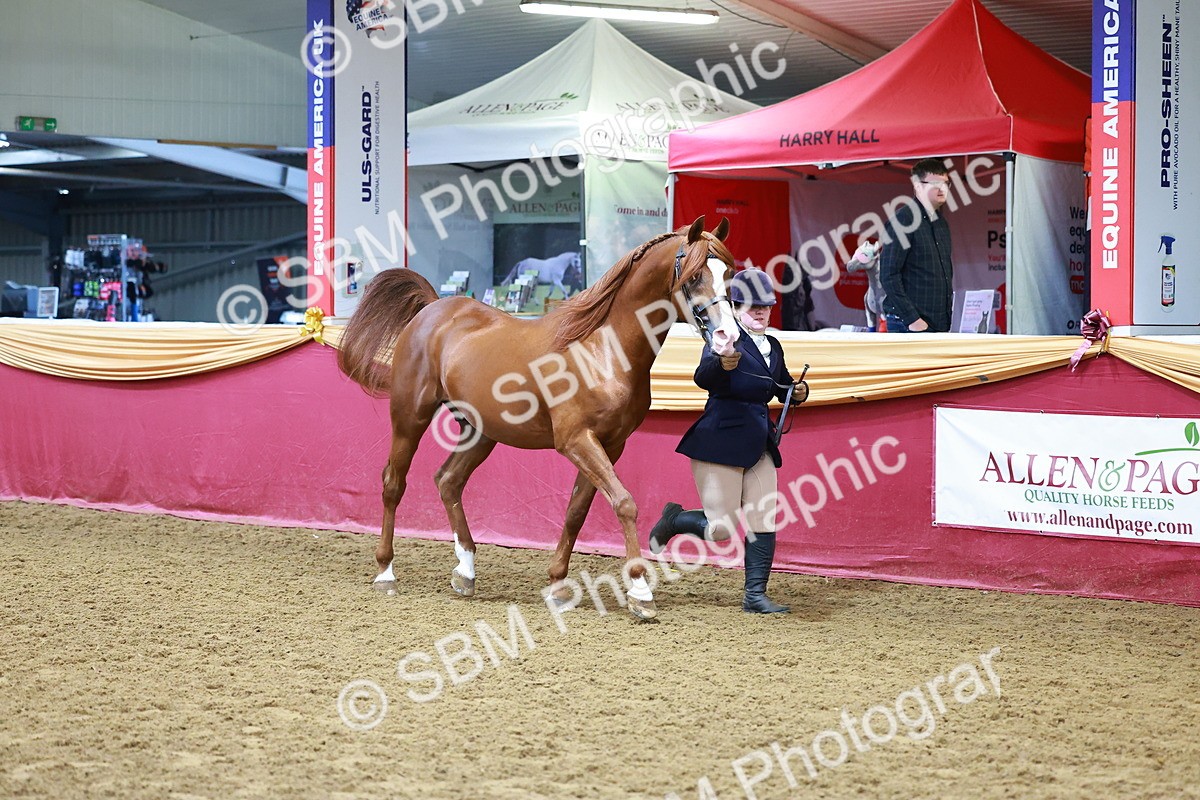 SBM_16152 - Class 901 - Sup Final - IH Diamond