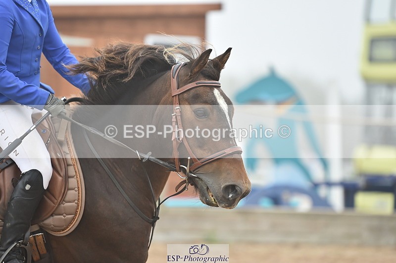 230902A-105330-00484 - Cls 2A Pony Small 70cm