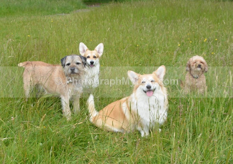  - Eric, Ulla, Maisie and Lola