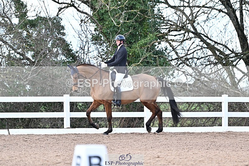 241214-115858-01495 - 114-Joe.Roome-Acqua.Marina.Della.Caccia