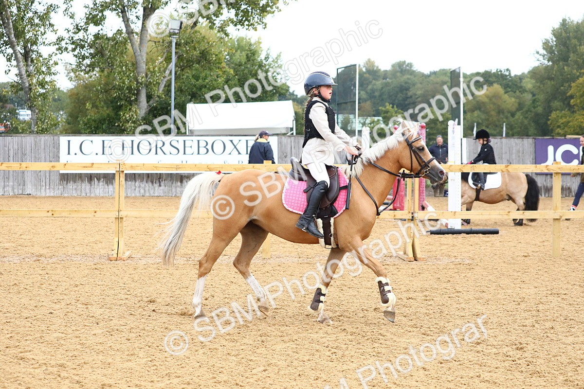 SBM_60019 - J63 - Junior Pony 50cm Championship