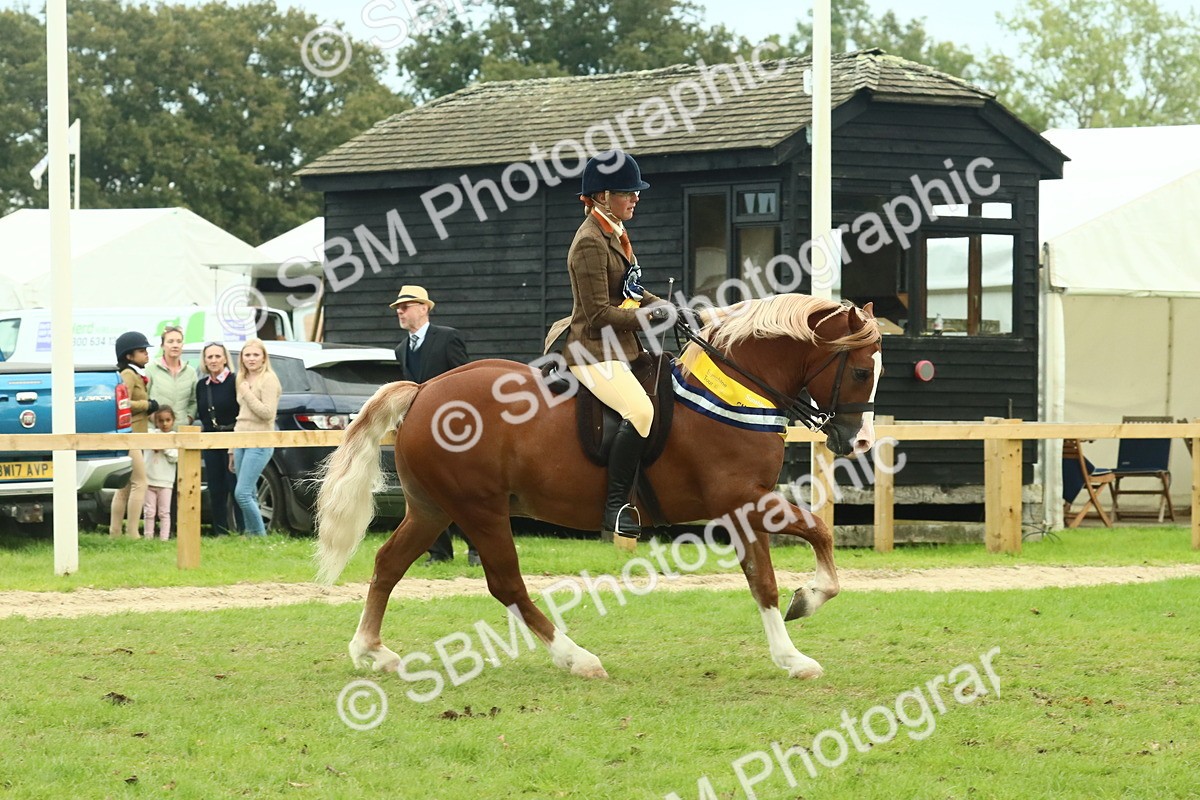 SBM_75168 - Super Supreme Championship