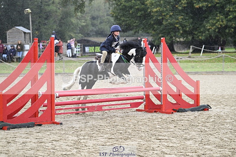 251005A-120357-03590 - Cls 08 Mini 70-75cm