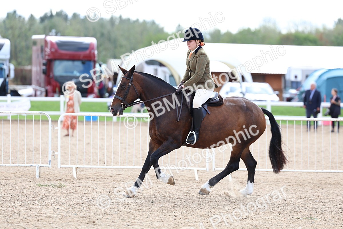 SBM_15824 - Class 314 - Family Horse - Pony
