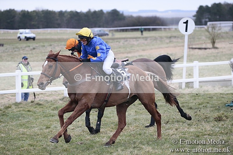 PtP 180218 269 - Combined Services Point-to-Point Larkhill 18/02/18