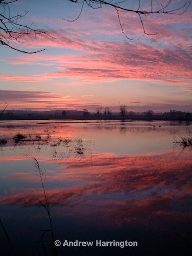 majestic dawn - Photos 3