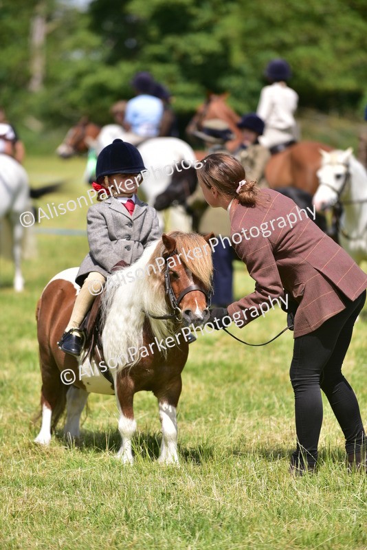 20260614-1232 - Class 11a - Lead Rein Pony (Unplaited)