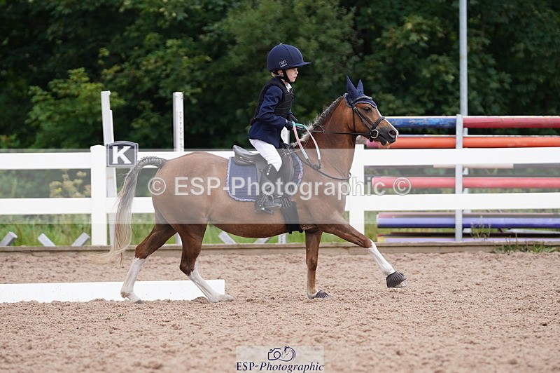 240809A-100838-00450 - Dressage Competition