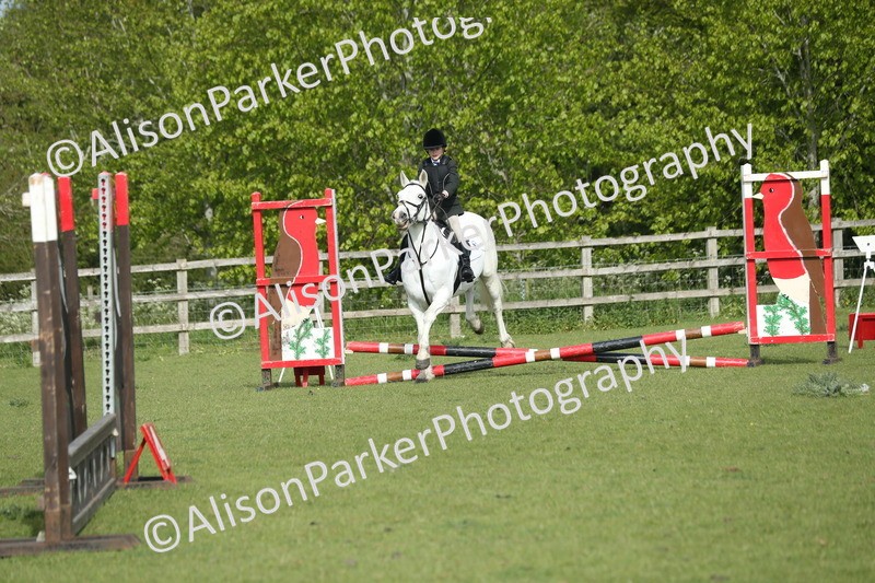 20260426-0176 - Class 13 - Rookie Jumping 50cm