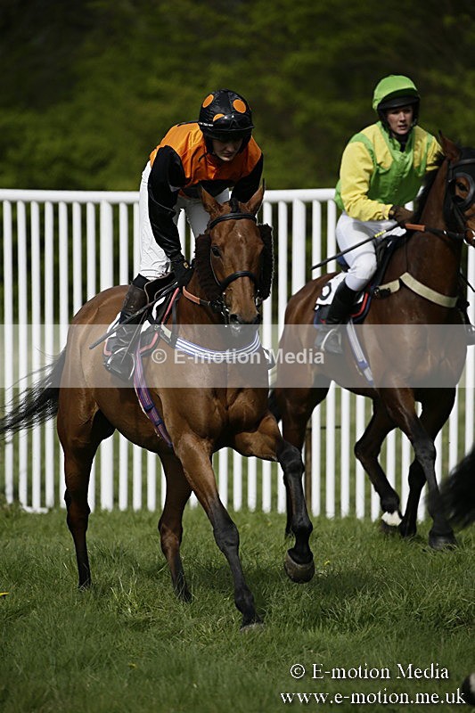 PtP 170417 273 - Old Berks Point-to-Point Lockinge 17/04/17