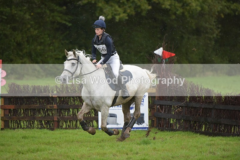 RAY_0479 - Class 4: 80cm: Double of Brushes