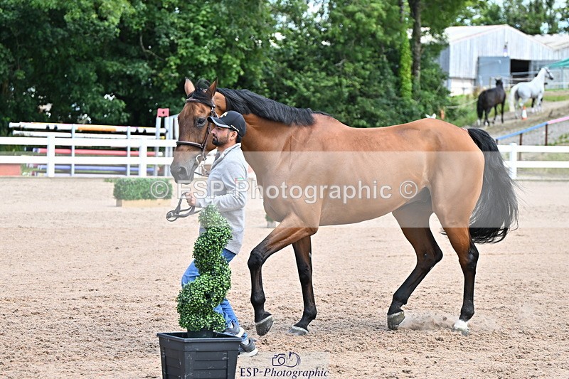 240718A-105255-01334 - Trot Up 12pm to 1pm