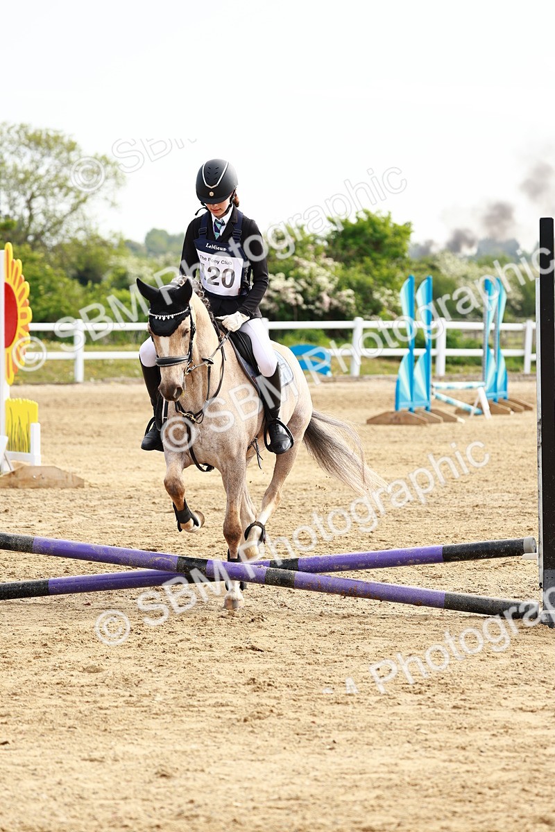 SBM_006513 - Class 1 - 40cm