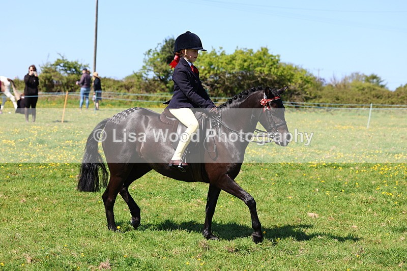 3E7A0003 - Class 4: Best Combination Junior