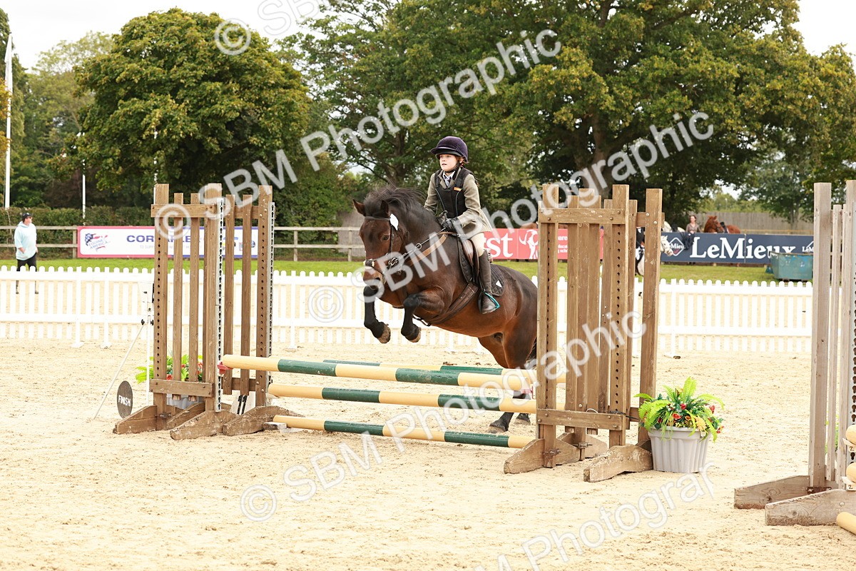 SBM_63649 - J12 - Junior Pony 55cm Championship