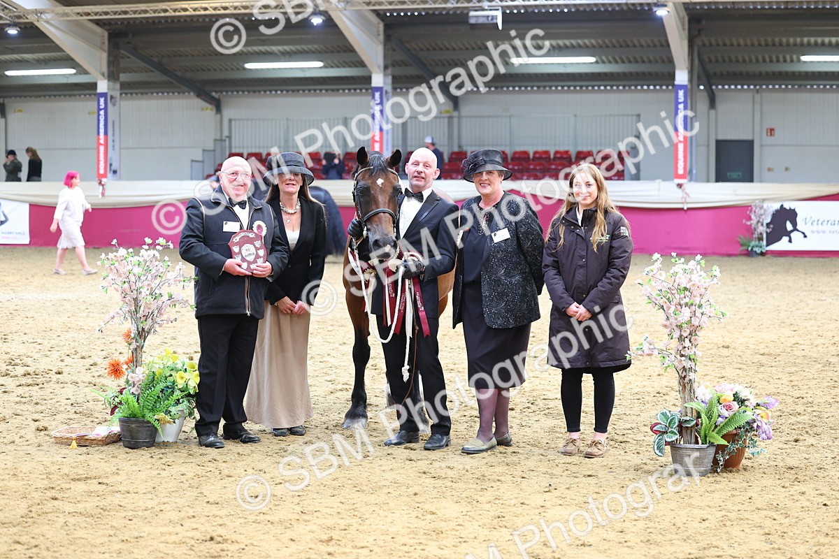 SBM_23018 - Class 903 - Supreme Final - IH Pre Vet