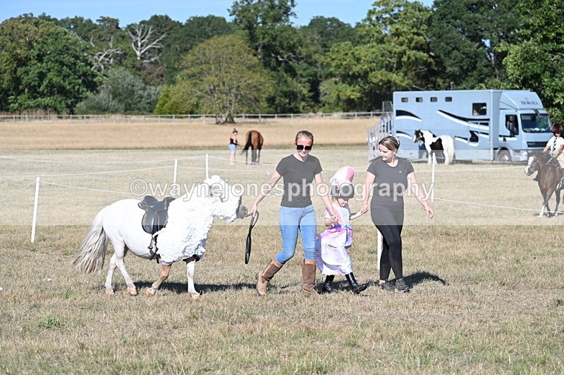 WJ7_2755 - Class 45 Fancy Dress (My Fav)