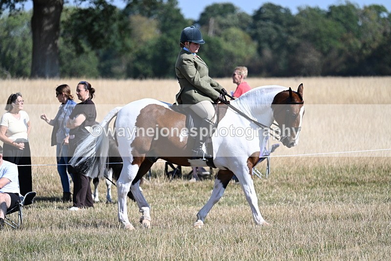 WJ7_3043 - Class 8 Ridden Tack & Turnout