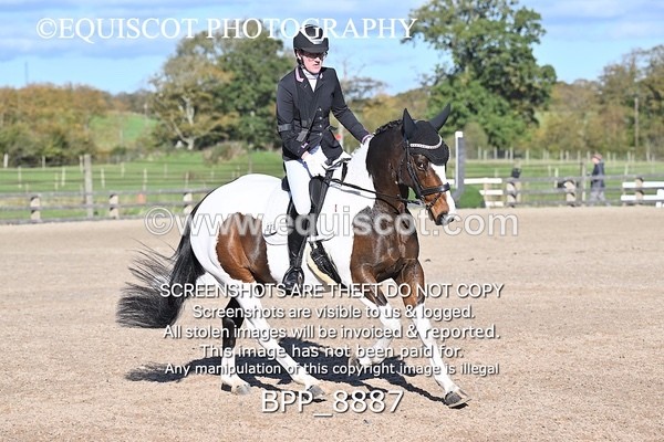 BPP_8887 - LONG ARENA NOVICE 6
