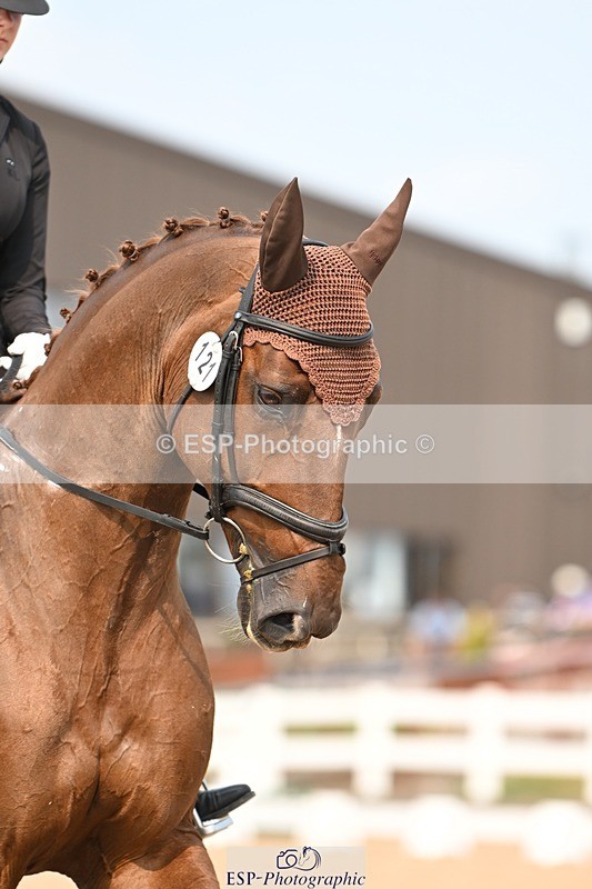 250816-152351-06171 - 121-Daisy.HedgesFelicia.v