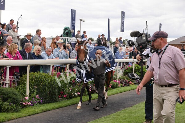 yr19082022r4-116 - Race 4 3.35pm Coolmore Wootton Bassett Nunthorpe Stakes (British Champion Series Race)
