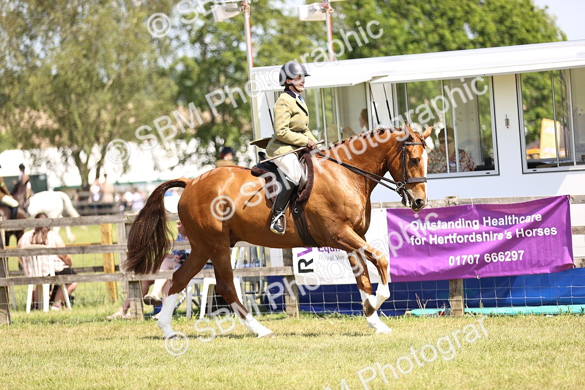 SBM_15069 - Class 79-80 - LIHS BSHA Rising Star Ridden Hunter