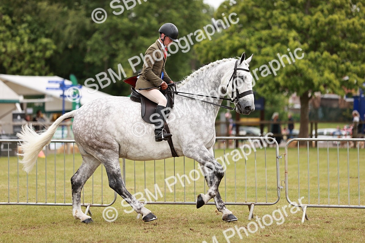 SBM_10954 - Class 81-84 - RIHS Ridden hunters Inc Ladies Hunter