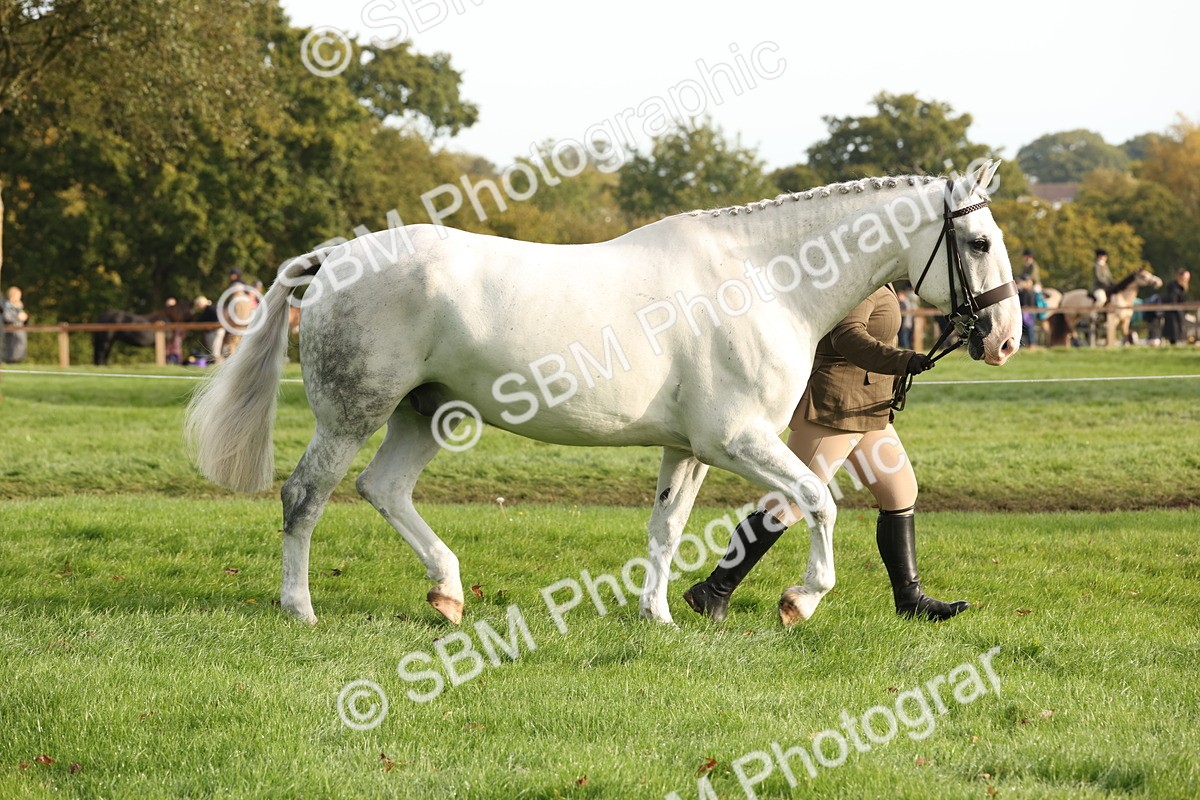 SBM_54682 - S53 - Hunter In Hand