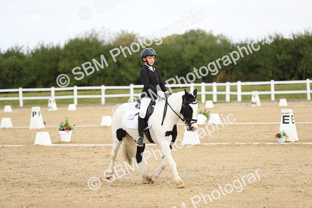 SBM_016341 - Class 13 - Novice 23 - 11.25-12.35