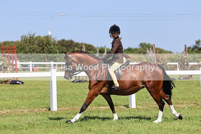 IMG_2006 - Class 34: Show Hunter Pony 153cm and under