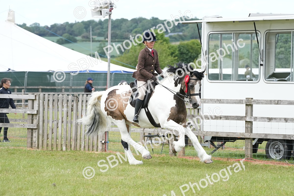 SBM_17672 - Class 107-108 - LIHS BSPS Performance Coloured Horse Pony