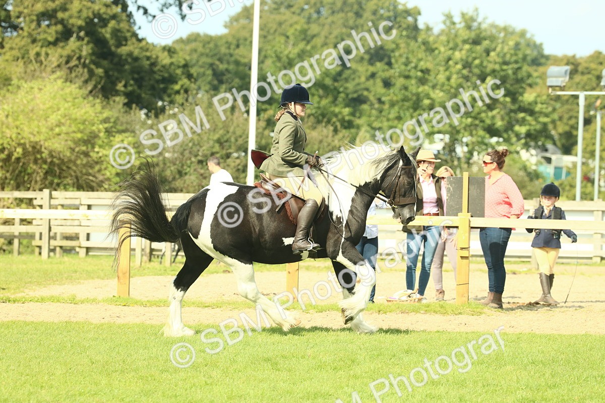 SBM_68808 - S58 - Mini Show Cob Ridden