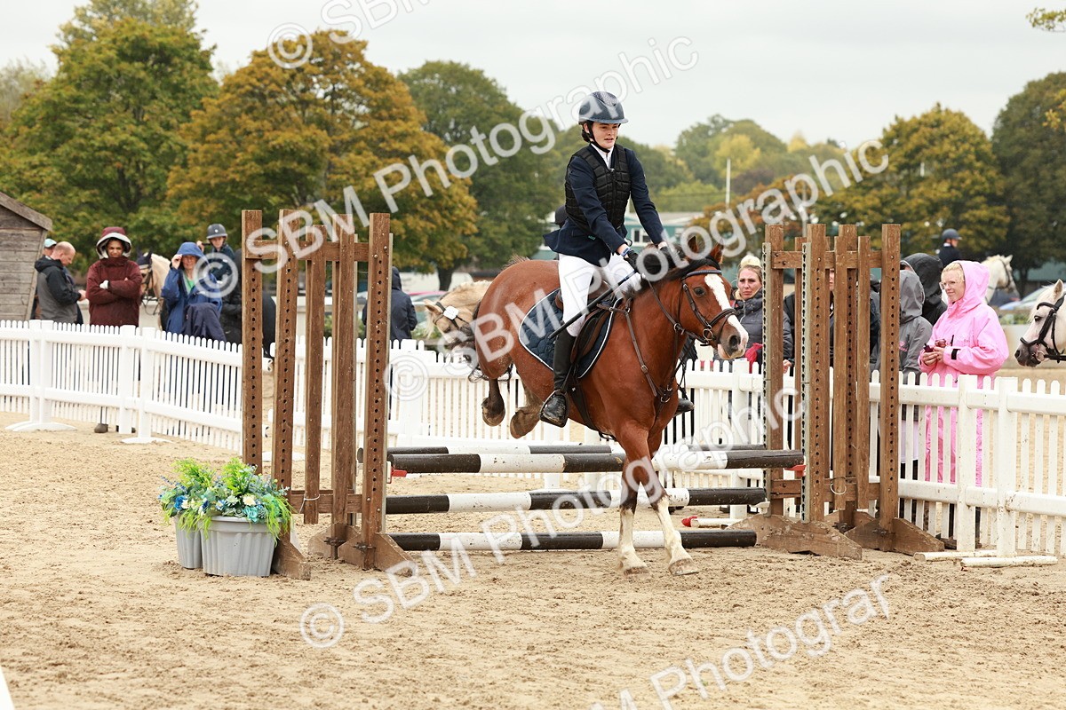 SBM_69198 - J13 - Junior Pony 60cm Championship