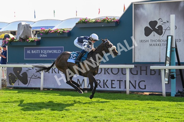 130625-Race 7-Dawn Of Liberation-0183 - Race 7 5.20pm Irish Thoroughbred Marketing Handicap