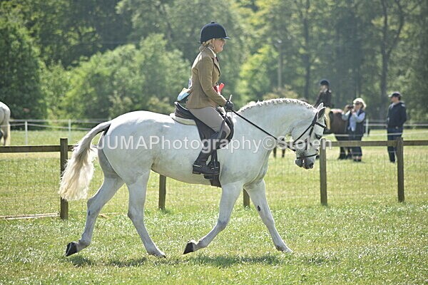 DSC_9226 - Rings 1 & 2