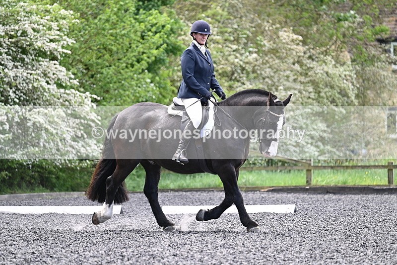 WJ7_9019 - Time 11:32 to 11:54