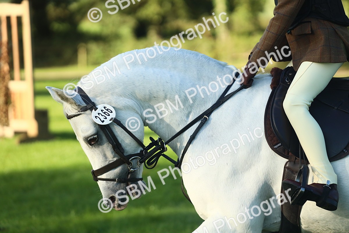 SBM_31965 - S28 - Nursery Stakes Working Hunter Pony