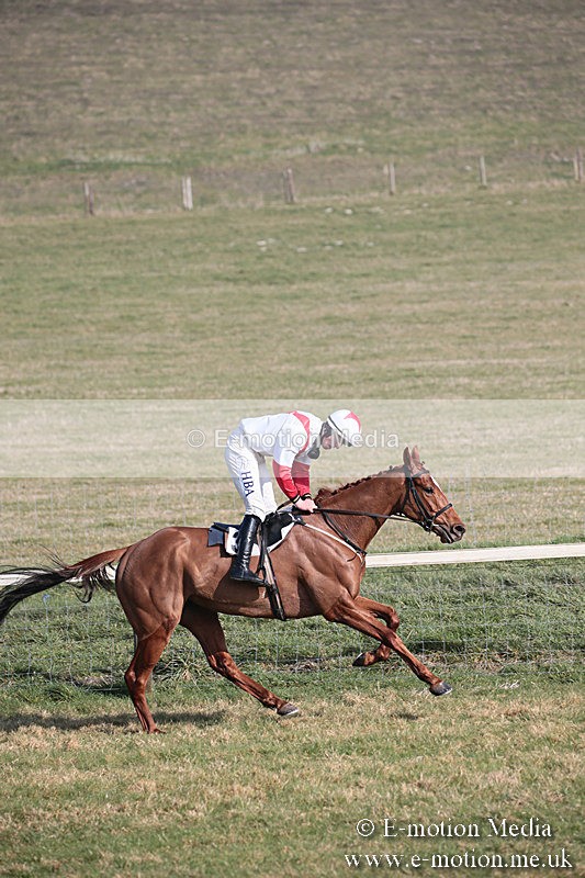 PtP 230219 256 - Vine & Craven Point-To-Point - Barbury 23/02/19