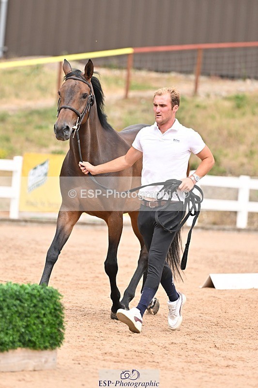 250716-154335-02165 - Trot Up 3.30 to 4.30