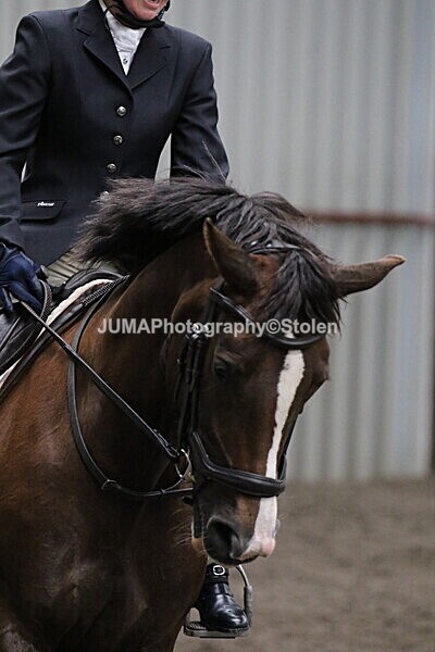 SIAL4650 - CAbin Dressage 5th july 2025