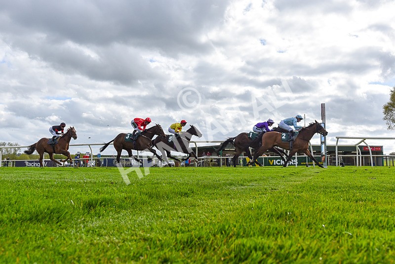 240424-Race 5-Tyger Bay-3639 - Race 5