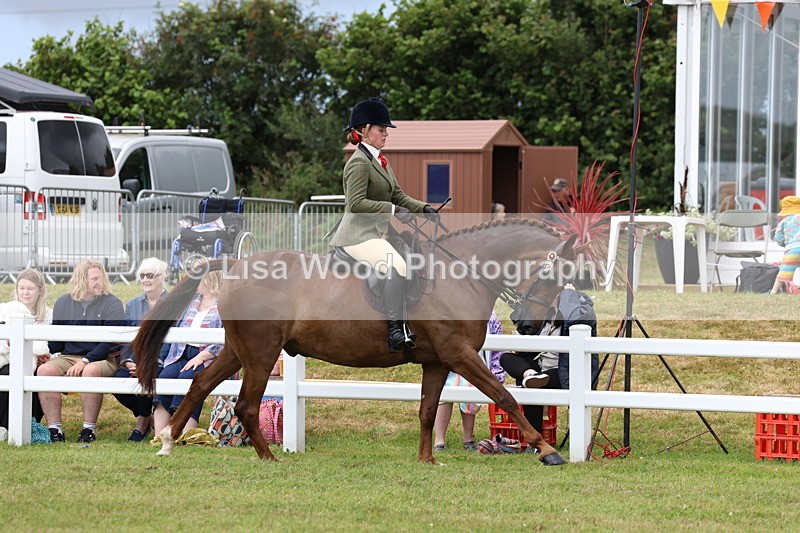 3E7A0900 - Class 8: Open Riding Horse/Hack