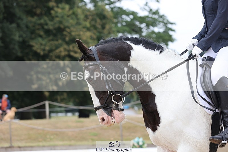 250718A-103233-00605 - 052-Lisa.Batty-George.XIV