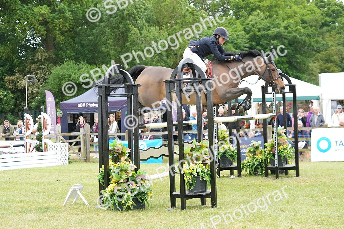 SBM_05246 - Class 201 - British Horse Feeds Speedi Beet Horse of the Year Show Grade  C