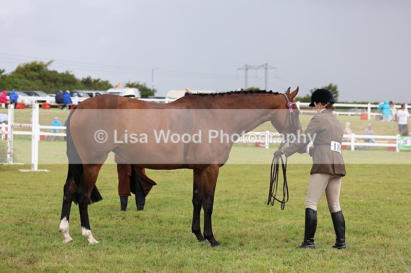 3E7A1069 - Class 8: Open Riding Horse/Hack