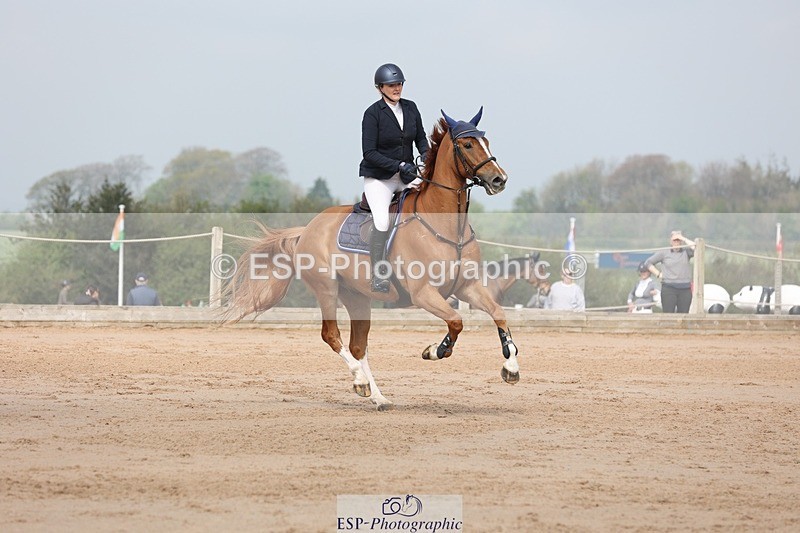 250424-105928-03336 - Cls 33 Young Horse 7yr old