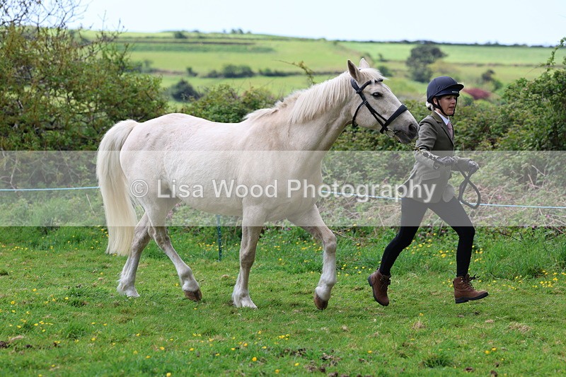 3E7A0497 - Class 20: Sports Horse