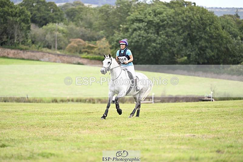 240825X-124313-33860 - 70cm XC 12.00 to End